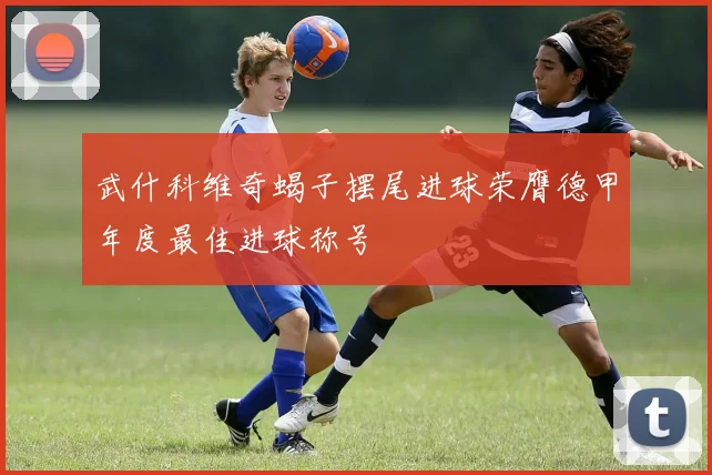 武什科维奇蝎子摆尾进球荣膺德甲年度最佳进球称号